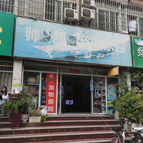 帅靓宠物家园:西安市碑林区东门外附近