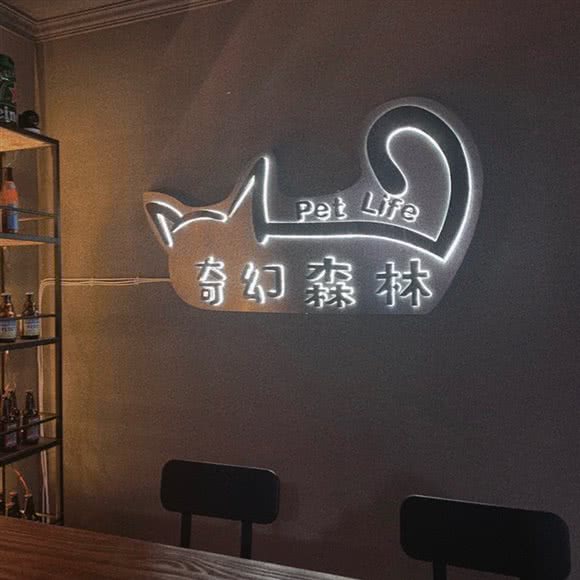 奇幻沼泽宠物店:西安市碑林区太乙路附近