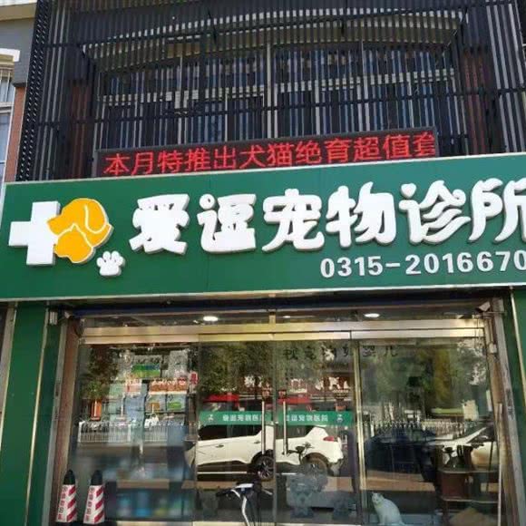 爱逗宠物诊所:唐山市路北区机场路/大润发附近