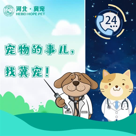 冀宠动物医院(中心医院)24H:唐山市路北区北新道附近