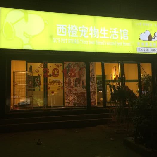 西橙宠物生活馆(桃园东路店):西安市莲湖区桃园路附近