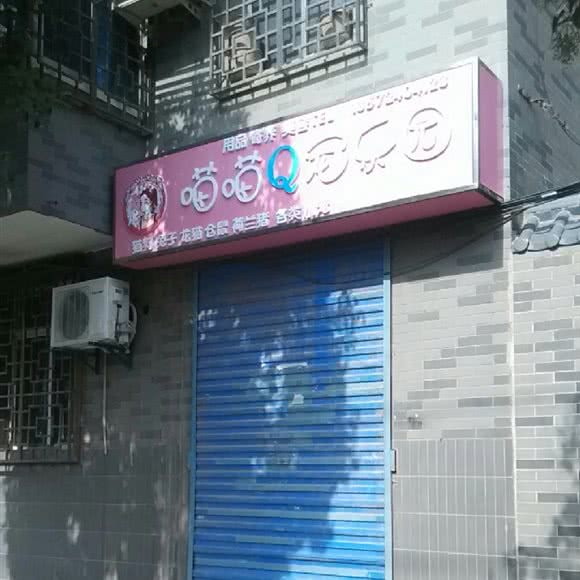 喵喵Q宠乐园:西安市莲湖区红庙坡附近