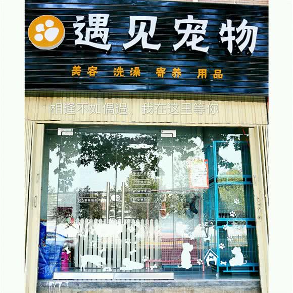 遇见宠物:西安市莲湖区汉城路沿线附近