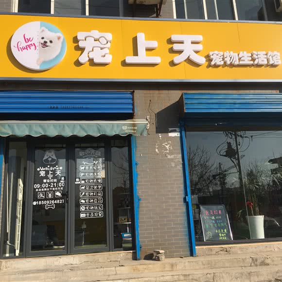 宠上天宠物生活馆:西安市莲湖区大兴新区附近