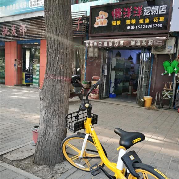懒洋洋宠物店:西安市灞桥区浐灞生态区附近