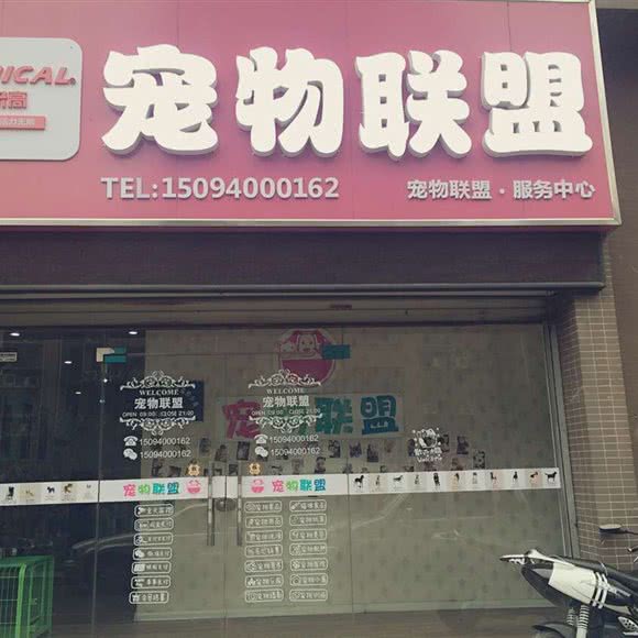 宠物联盟(浐灞新城服务中心):西安市灞桥区浐灞生态区附近