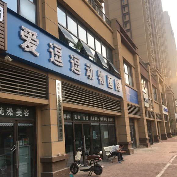 爱逗逗动物医院:西安市灞桥区浐灞生态区附近