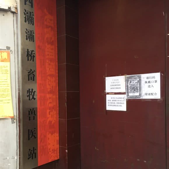 西灞灞桥蚕桑兽医站:西安市灞桥区浐灞生态区附近