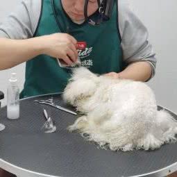一宠动物俱乐部(灞桥店):西安市灞桥区灞桥火车站附近