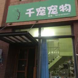 千宠宠物:唐山市路北区新华道附近