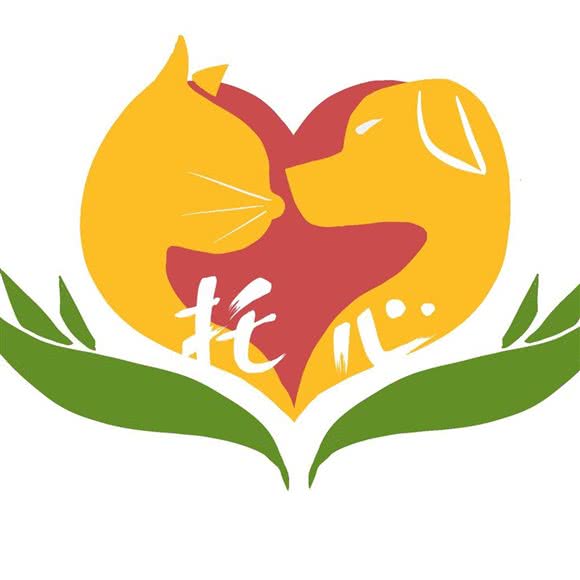 西安托心动物医院:西安市未央区张家堡附近