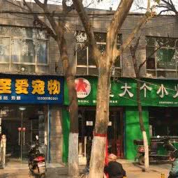 至爱宠物(龙首南路店):西安市未央区龙首附近
