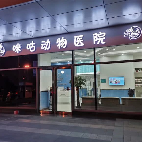 咪咕动物医院:西安市未央区未央路沿线附近