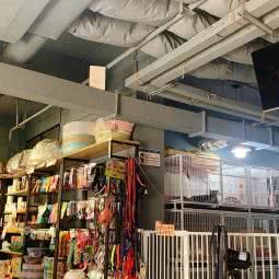 派多格宠物店(世融嘉境店):西安市未央区未央路沿线附近
