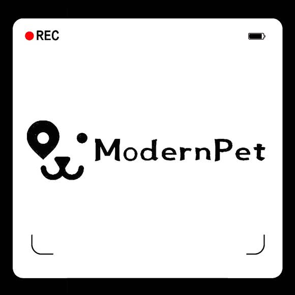 摩登宠舍:西安市未央区未央路沿线附近