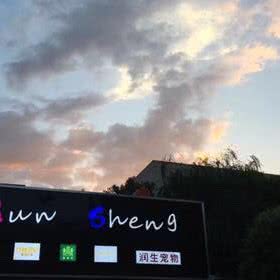 润生宠物(经开店):西安市未央区未央路沿线附近