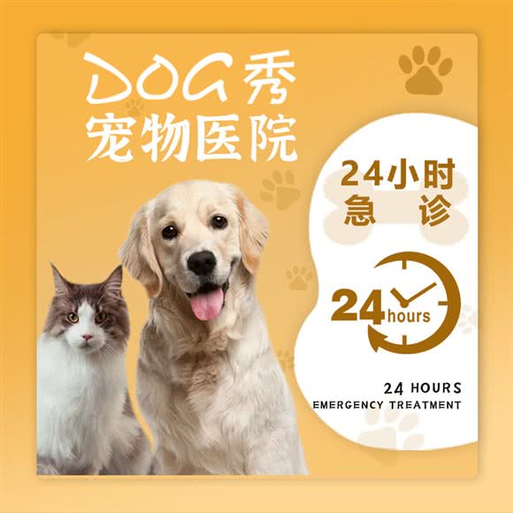 DOG秀(道格秀)宠物医院(颐和郡店):西安市未央区未央路沿线附近