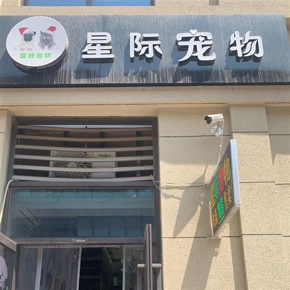 星际宠物生活馆:西安市未央区大明宫万达附近