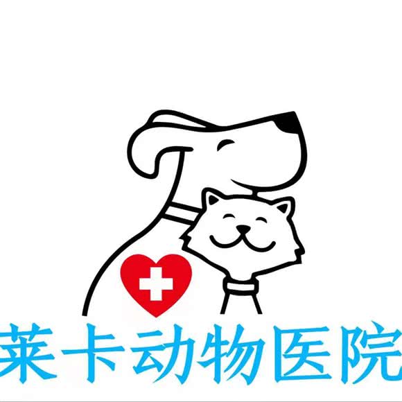 西安莱卡24钟头动物医院:西安市未央区大明宫万达附近