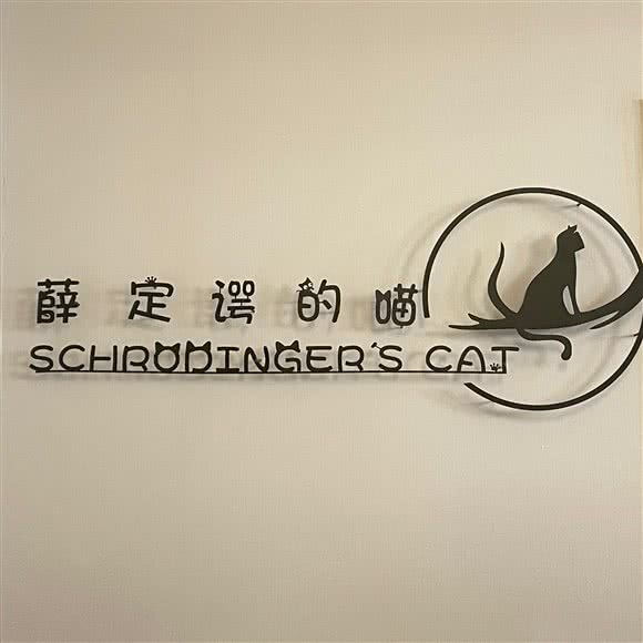 薛定谔的喵·撸猫·猫咖馆:西安市未央区文景路附近