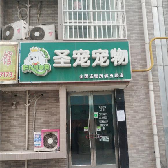圣宠宠物(凤城五路店):西安市未央区文景路附近