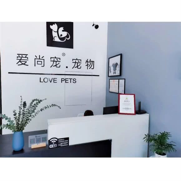 爱尚宠宠物店(碧玉华府店):唐山市路北区学院北路附近