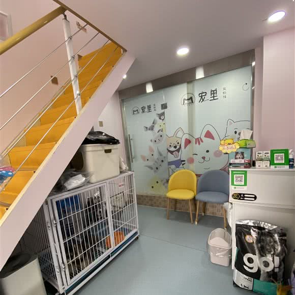宠你呀宠物馆:西安市未央区辛家庙附近