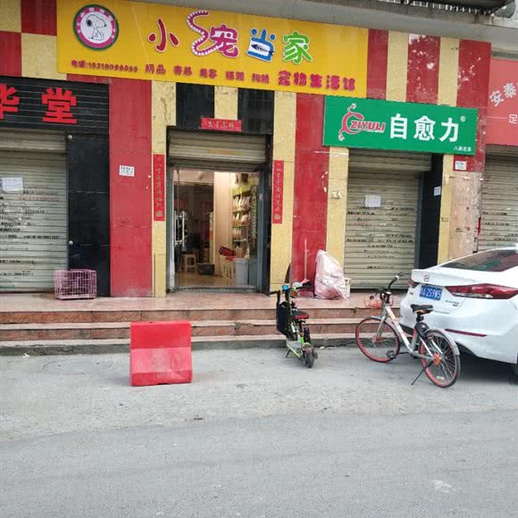小宠当家宠物生活馆:西安市未央区辛家庙附近