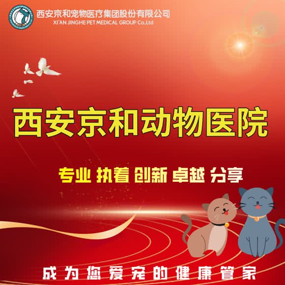 郑州京和动物医院:西安市未央区辛家庙附近