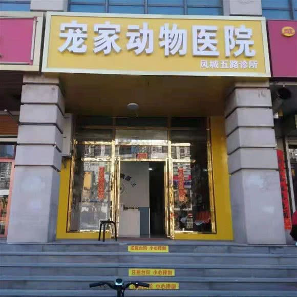 宠家动物医院(凤城五路店):西安市未央区太华路沿线附近