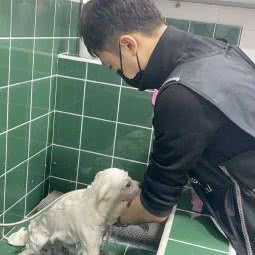 西安小耳朵宠物医院:西安市未央区太华路沿线附近