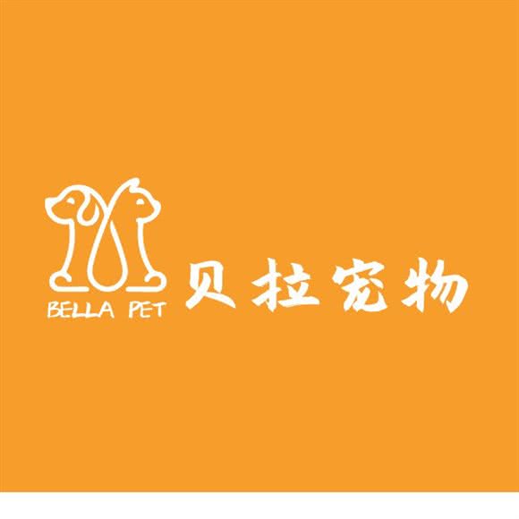 贝拉宠物:西安市未央区大明宫附近