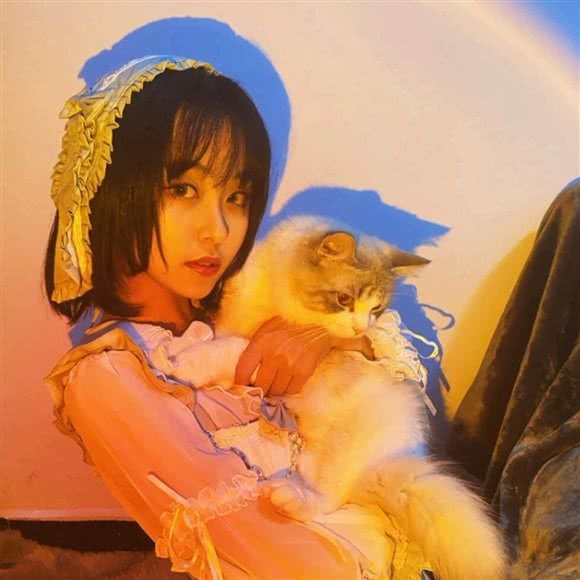 猫右宠咖?猫咖?狗咖:西安市未央区北大学城附近