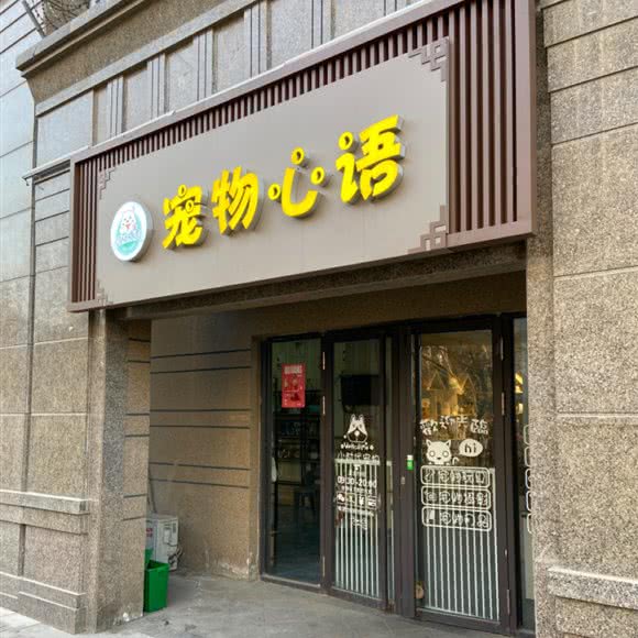 宠物心语:西安市雁塔区曲江新区附近