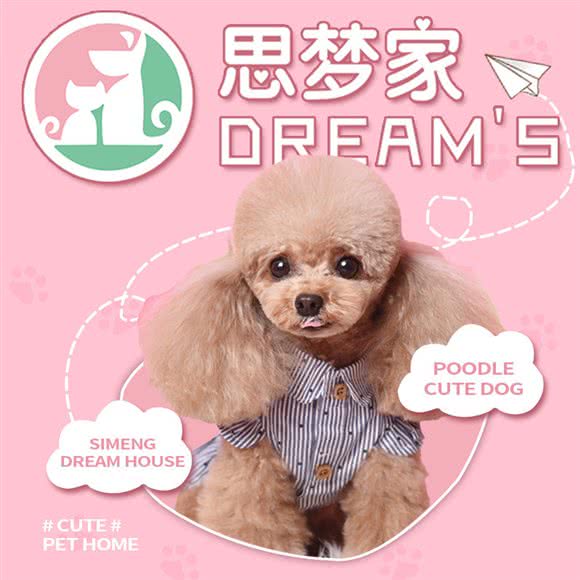 思梦家?狗店?猫店(曲江店):西安市雁塔区曲江新区附近