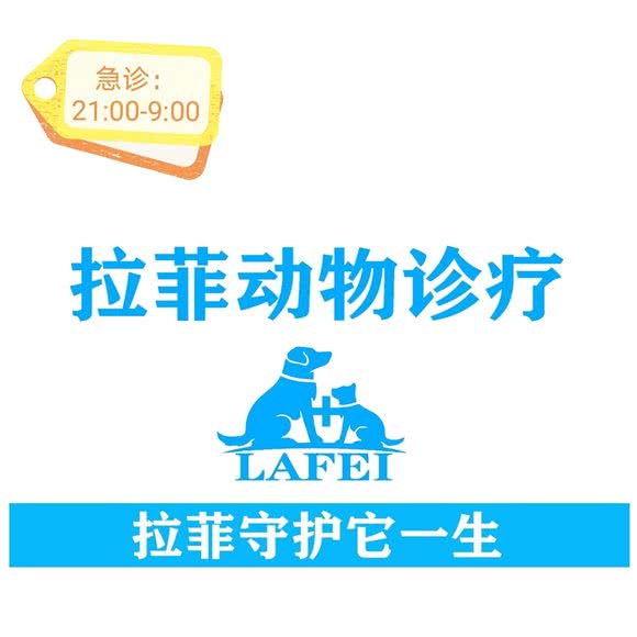 拉菲动物诊疗医院(曲江店):西安市雁塔区曲江新区附近