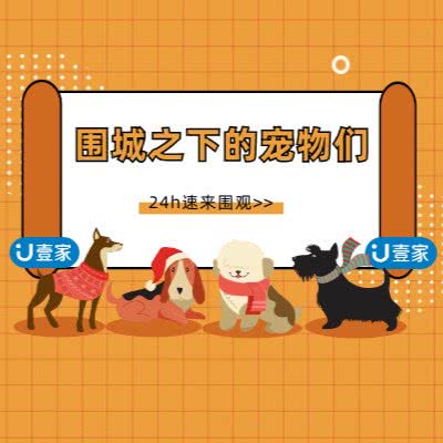 壹家动物诊疗中心:西安市雁塔区曲江新区附近