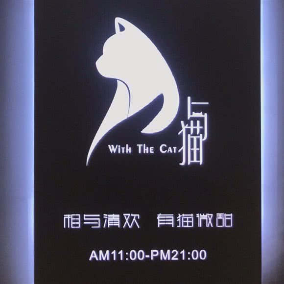 With The Cat 与猫 猫咖:西安市雁塔区小寨附近