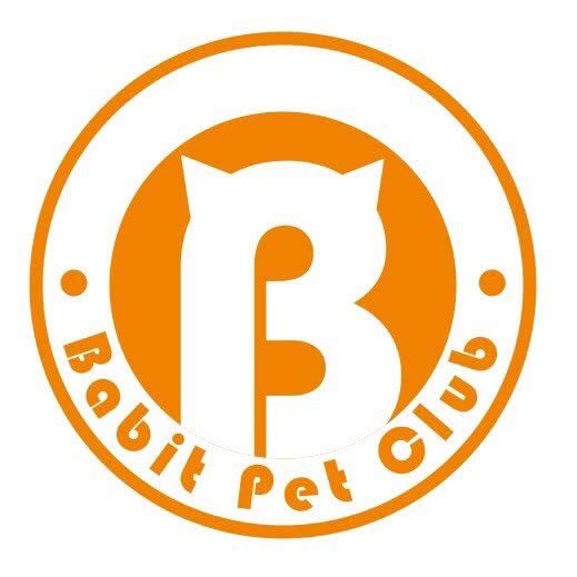 BABIT巴比特狗狗俱乐部:西安市雁塔区小寨附近