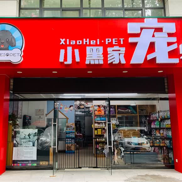 小黑家狗狗:西安市雁塔区小寨附近
