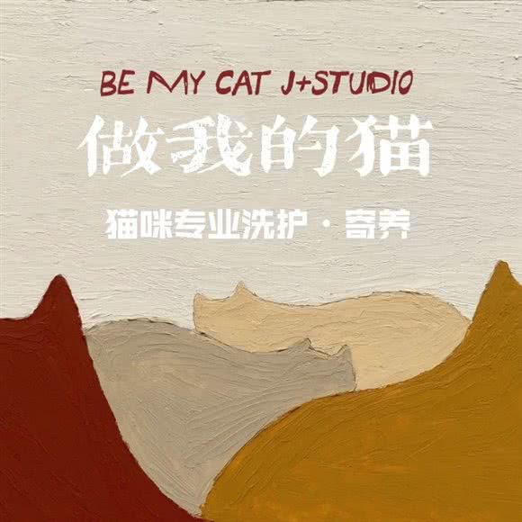 做我的猫·猫咪专业洗护·寄养:西安市雁塔区长安路附近