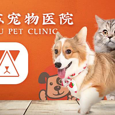 米苏动物医院:西安市雁塔区长安路附近