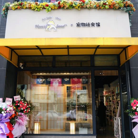 Neverland宠物狗社交馆:西安市雁塔区翠华路附近