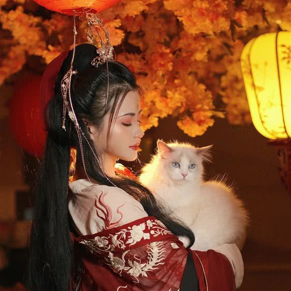 大唐御猫馆·猫舍·猫咖别墅:西安市雁塔区翠华路附近