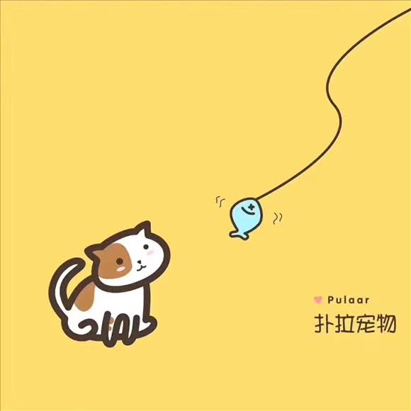 扑拉宠物猫舍:西安市雁塔区吉祥村附近