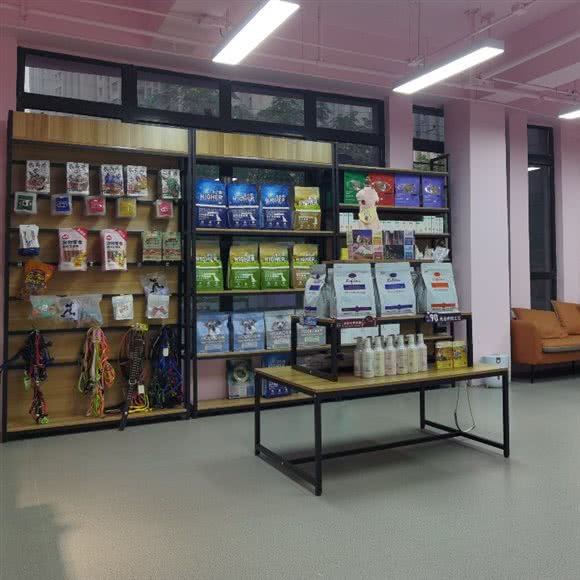 pet coffee 猫咖:西安市雁塔区雁翔路附近