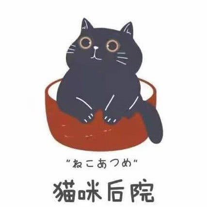 猫咪后院:西安市雁塔区大寨路附近