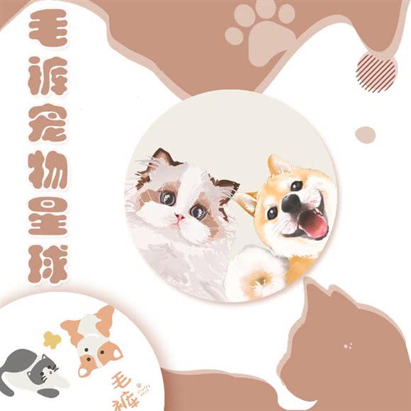 毛裤 宠物星球:西安市雁塔区大寨路附近