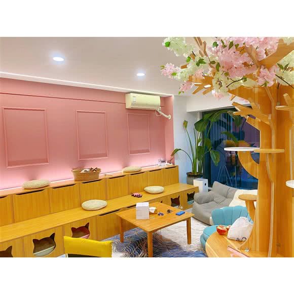 西友Sweet 猫舍?狗咖:西安市雁塔区含光路南段附近