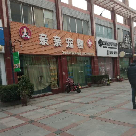 亲亲宠物:西安市阎良区阎良区附近